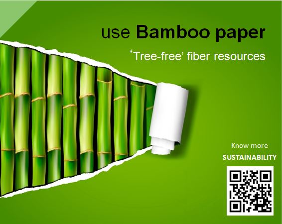 Bamboo paper
