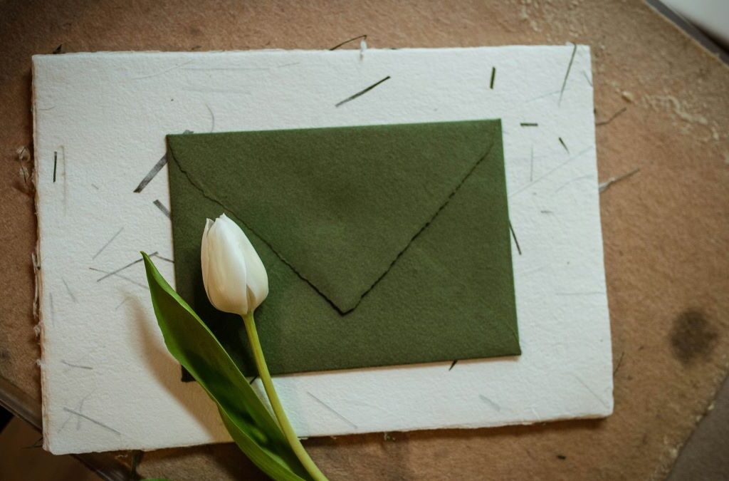 seed paper rigid boxes