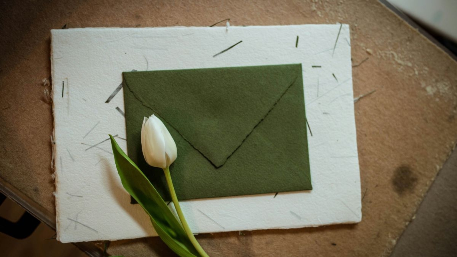 seed paper rigid boxes